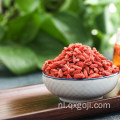 Verse biologische Goji bessen gedroogde wolfberries te koop